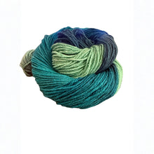 Load image into Gallery viewer, Yarn of the Month Exclusive Colorways