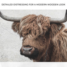 Load image into Gallery viewer, Natural Rustic Highland Cow Canvas Wall Art